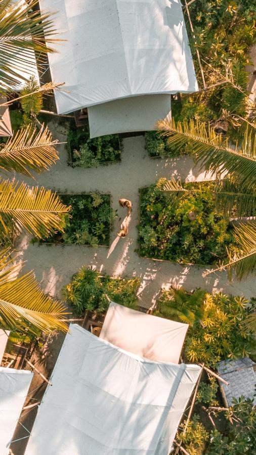 La Cocoteraie Ecolodge - Luxury Glamping Tents Τζίλι Τραγουανγκάν Εξωτερικό φωτογραφία